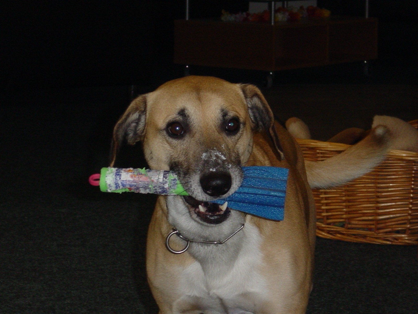 Jasper 2002 – Mit Joghurt auf der Nase