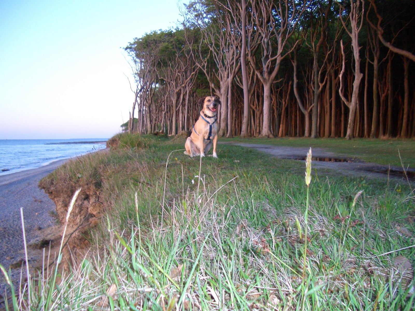 Ostsee bei Börgerende 2004